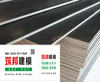清水模板
